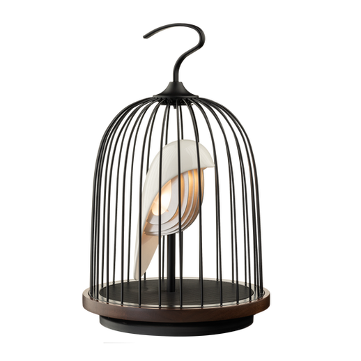 Daqi Concept - jingoo white hwamai speaker & lamp